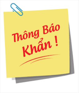 THÀNH PHỐ HẠ LONG THÔNG BÁO TÌM CHỦ PHƯƠNG TIỆN THỦY VI PHẠM ĐANG BỊ  GIỮ