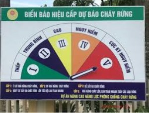 Công điện về việc tập trung khắc phục hậu quả do cháy rừng